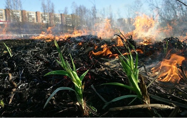 Загорелась трава - будет беда